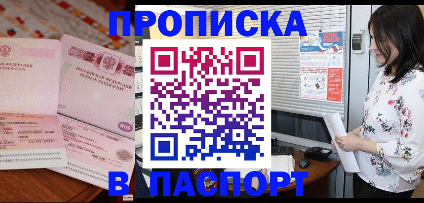 прописка гарантия в Вельске